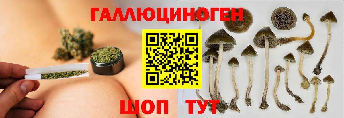 Усть-Илимск  Псилоцибиновые грибы мицелий  Псилоцибиновые грибы прущие грибы  где найти наркотики  Вход с VPN 